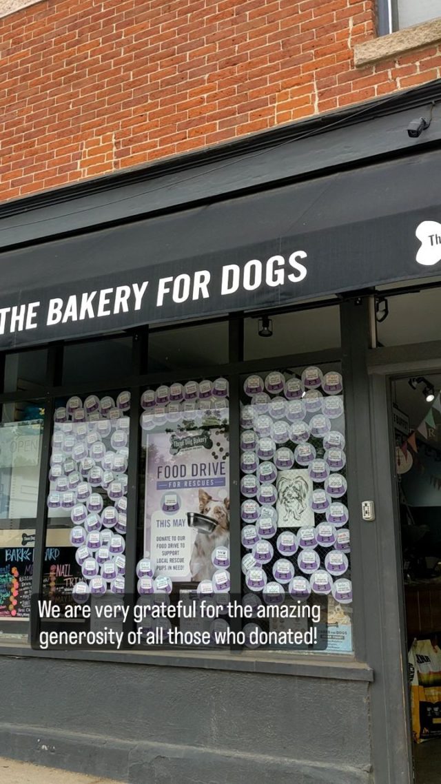 It's the last day to donate! Thank you to everyone who's chipped in to help us feed over 100 pups for a month.🐶❤️🐾 
We'll be able to keep many wagging tails fed, happy, and healthy for weeks to come! 🙌🐕
@coloradopetpantry

#ThreeDogBakeryCares #FoodDrive #SupportLocalRescues #DenverPets #threedogbakery #fooddriveforrescues #dogsofdenver #rescuedogs #FoodDriveForRescues #GiveBack #SupportLocal #Denver #denverrescuedogs