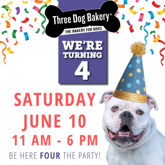 🎉Tomorrow is pawty-time! 🐕🐩🐶 Gather your furry friends - it's gonna be a woofin' good time! 
Who: Alllllllll the doggies of Denver
What:  Un-four-gettable Barkday Pawty
Where: Three Dog Bakery at 1503 Boulder St, LoHi Denver
When: 11 am - 6 pm

🥳ALL DAY FUN!
11:00 am - 4:00 pm 
🐾 Pet Photos and Caricatures
🐾 Hike Doggie, Farmina, Wellness Pet, and Zignature brands on-site for Q&A, giveaways, free samples, & deals.

11:00 am - 6:00 pm
🎂 FREE CAKE! AND a special treat for humans.
🍪 Cookie Decorating Contest (winner gets $40 gift card to Three Dog Bakery)
🥳 Make your own pawty hat for your pup.
🐕 Create and personalize a bandana special for your dog.
🎟️ Raffle Prizes. Variety of items available to win.  Winners do not need to be present to win.
 
🚨DEALS FOR THE DAY🚨
🐾 Spend $50 and get a pawsome swag bag ($100 value, supplies limited)
🐾 Spend $100 and get a Three Dog Bakery T-shirt
🐾 Every $10 spent get a raffle ticket to win more prizes
🐾 Barker's Dozen $36 (chef's choice only)
🐾 Barker's 1/2 Dozen $18 (chef's choice only)
🐾 Three Dog Bakery Packaged Treats - buy 3 get 4th one free
🐾 Rawhides - buy 3 get 4th one free
­.
.
.
.
.
#DogPawty #SimpleReminders #FurBuddies #DenverDog #DenverDogs #Denver #MileHighPooches #MileHighDogs #MileHighLiving #DenverLiving #CityOfDenver #MileHighCity #TheMileHighCity #DenverDoodles #DenverFrenchies #BakeryForDogs #DogsOfDenver #ColoradoDog #ColoradoDogs #5280Dogs #ColoradoPup #ColoradoPups #ColoradoPuppy #ColoradoPuppies #DenverPuppy #DenverPuppies #DenverPup #DenverPups #RockyMountainDog #coloradopetparents