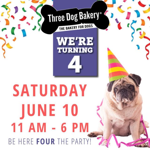 Party on, pups! 🐶🎉 Don't furget to join us for today's celebration - it's gonna be pawesome! 🥳 Rain or shine.. the pawty must go on!