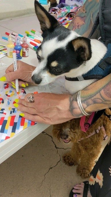 Instagram post 18007085200738450